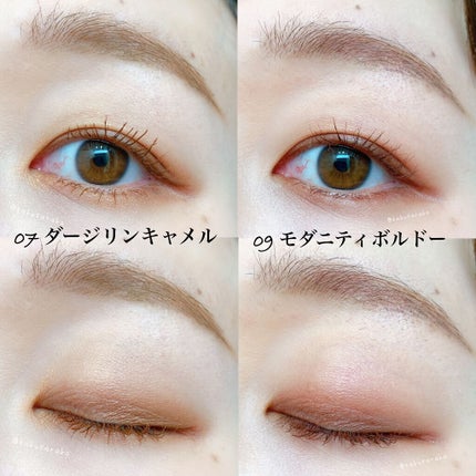 アイカラーレーション/LUNASOL/アイシャドウパレットを使ったクチコミ(8枚目)