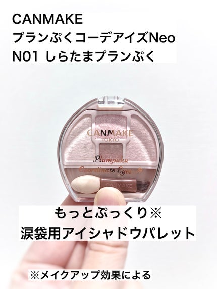 プランぷくコーデアイズNeo/キャンメイク/アイシャドウを使ったクチコミ(1枚目)