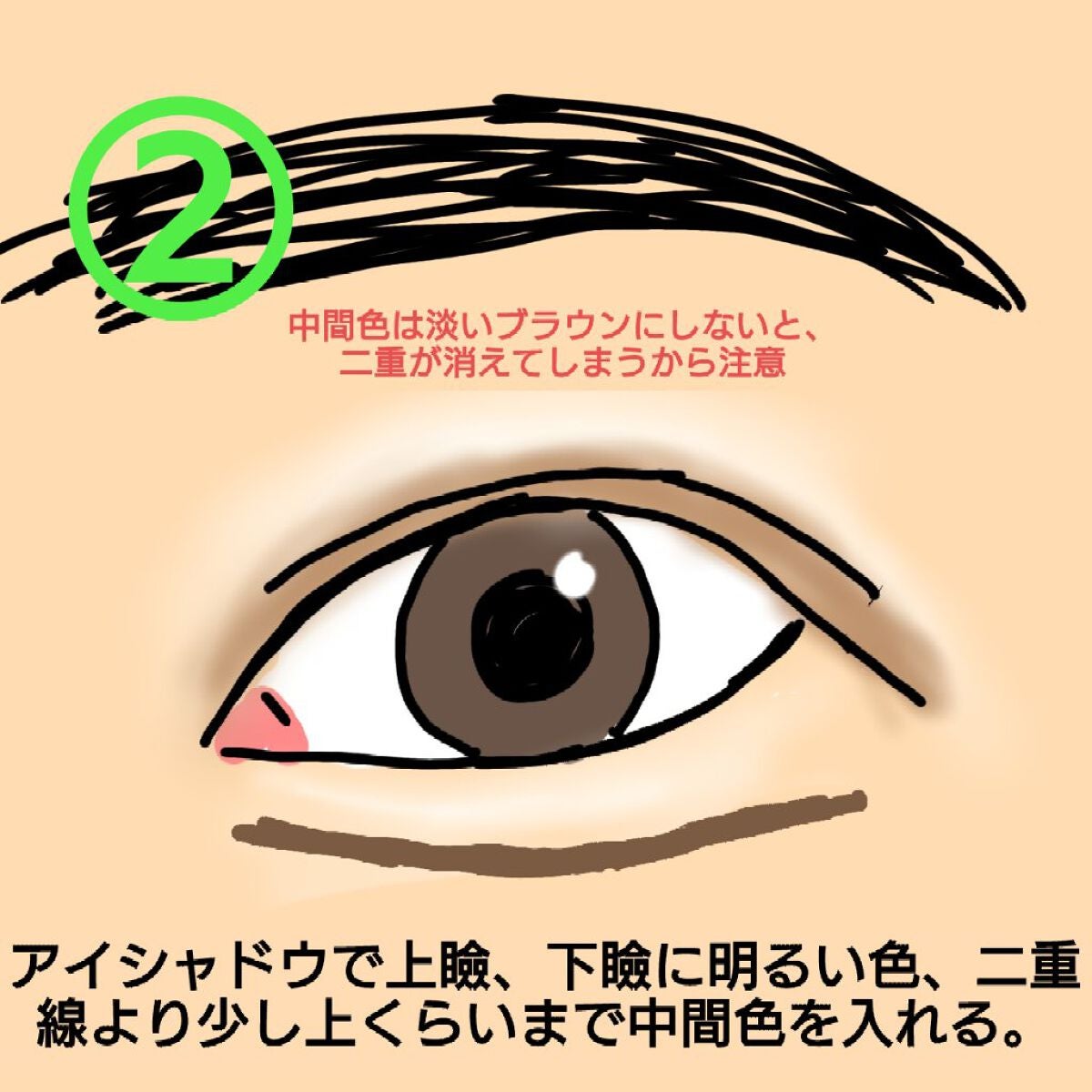 アイシャドウブラシセット/ロージーローザ/メイクブラシを使ったクチコミ(4枚目)