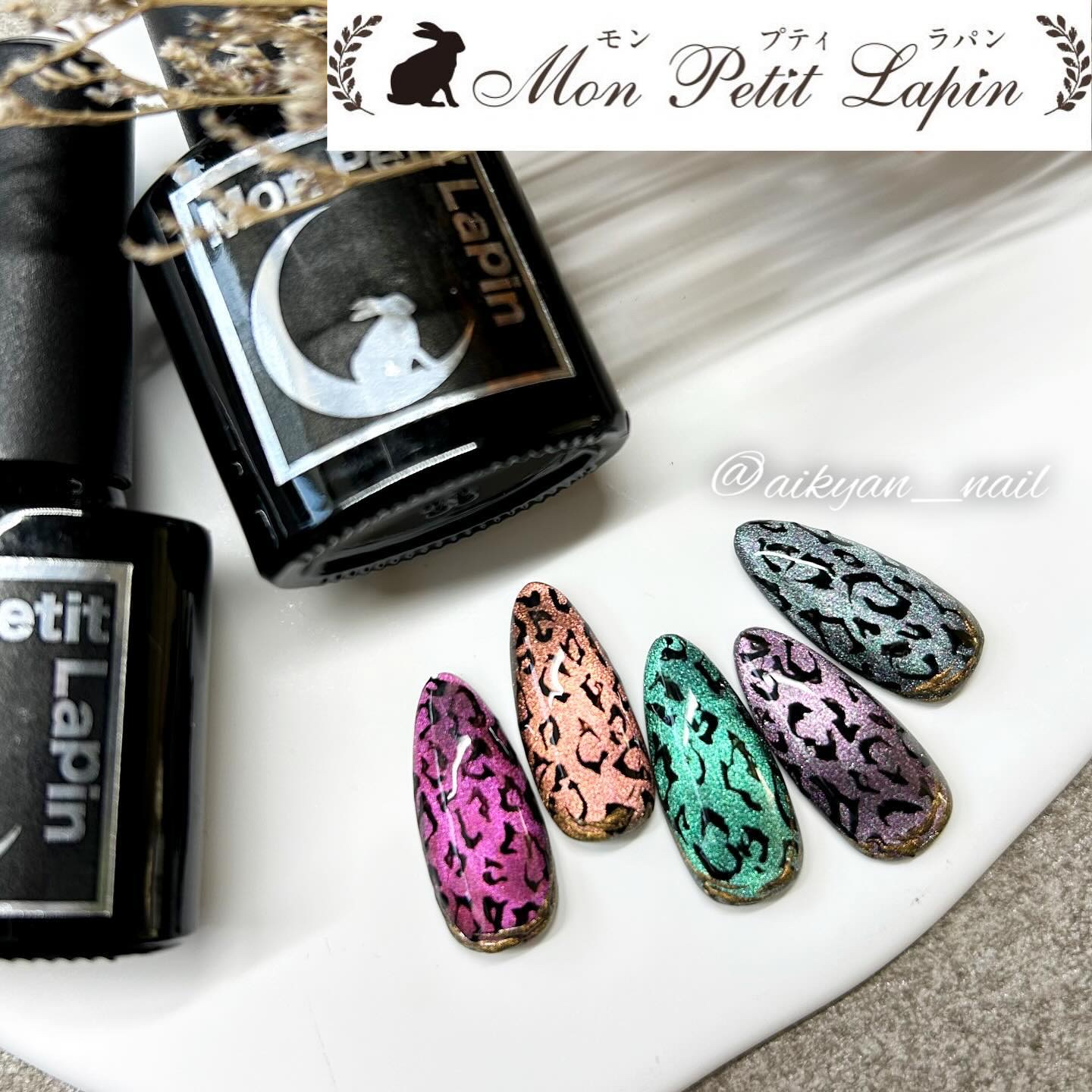 マグネットナイトスカイジェル/mon petit lapin/ジェルネイルを使ったクチコミ（1枚目）