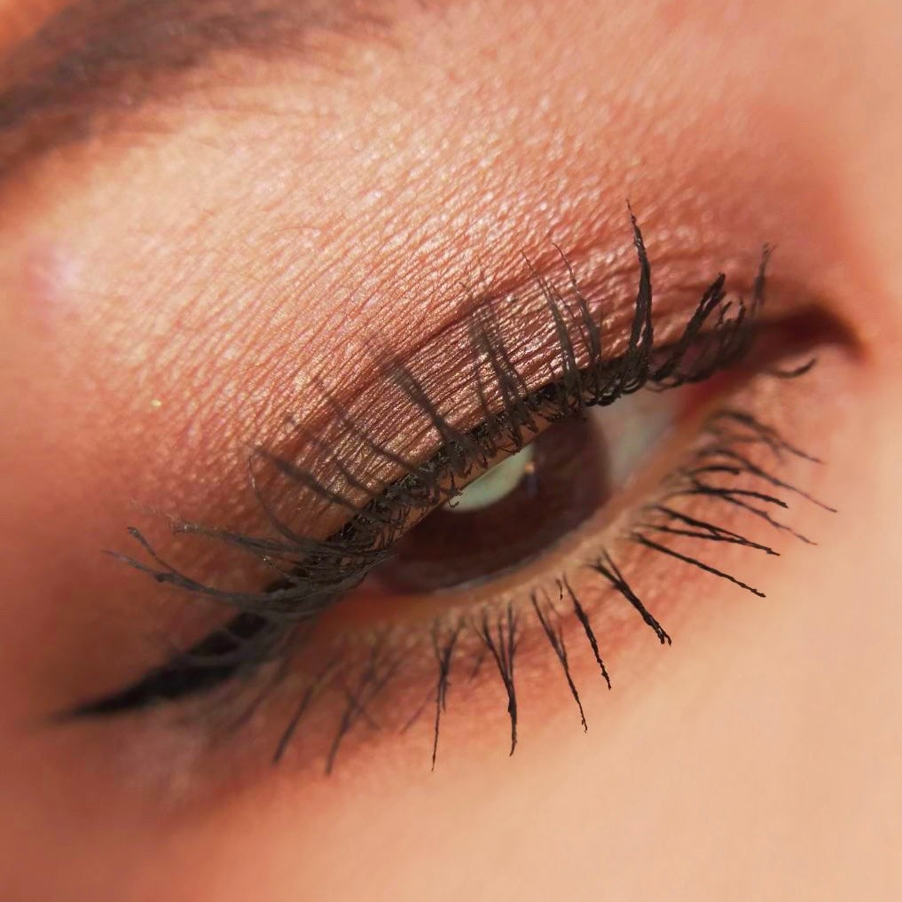 コネクト イン カラー アイシャドウ パレット × 6/M・A・C/アイシャドウパレットを使ったクチコミ(9枚目)