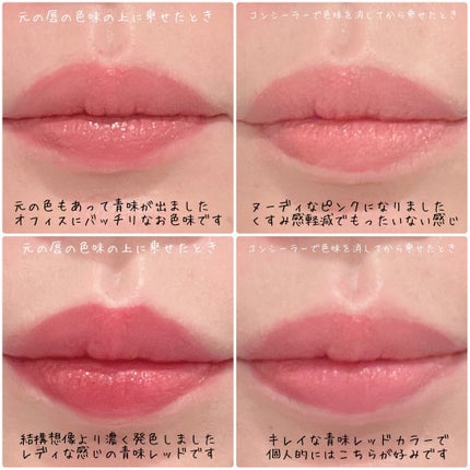 ネンマクフェイク ルージュ/Visée/口紅を使ったクチコミ(3枚目)