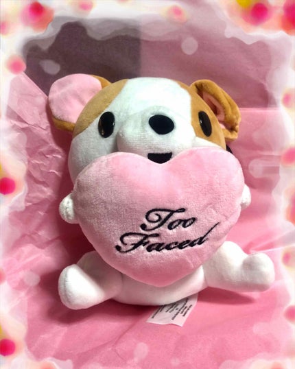 パンプキン スパイス アイシャドウ パレット(旧)/Too Faced/アイシャドウパレットを使ったクチコミ(3枚目)