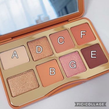 ソルテッド キャラメル ミニ アイシャドウ パレット/Too Faced/アイシャドウパレットを使ったクチコミ（2枚目）