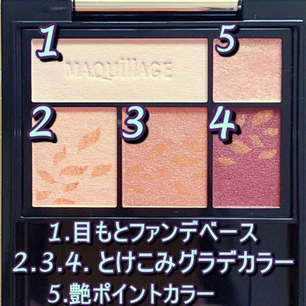 ドラマティックスタイリングアイズ/マキアージュ/アイシャドウパレットを使ったクチコミ(5枚目)