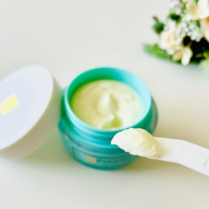 プロセスインワンメルティクリーム/FilFARO/フェイスクリームを使ったクチコミ(6枚目)