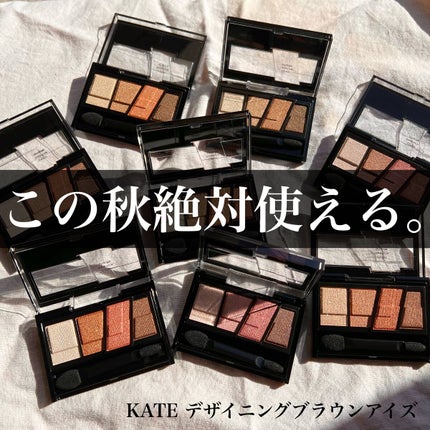 デザイニングブラウンアイズ/KATE/アイシャドウパレットを使ったクチコミ(1枚目)