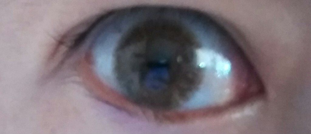 エバーカラーワンデー ルクアージュ/エバーカラー/ワンデー(1DAY)カラコンを使ったクチコミ(3枚目)