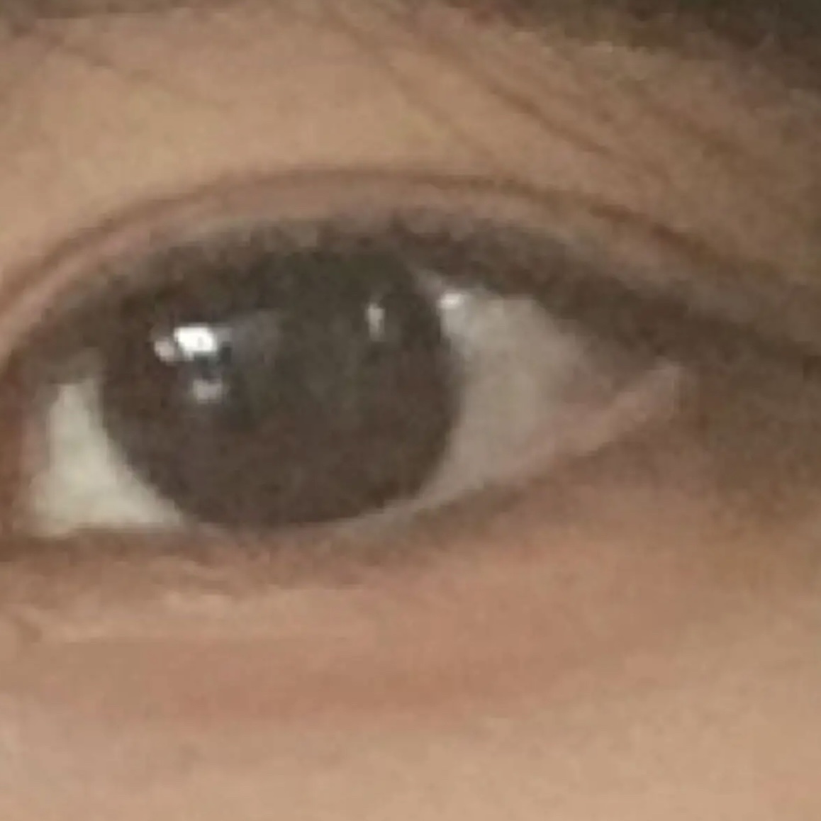 エバーカラーワンデー ナチュラル/エバーカラー/ワンデー（１DAY）カラコンを使ったクチコミ（3枚目）