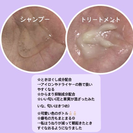 ãšã¢ãªãŒã¹ã ãŒã¹ã·ã£ã³ããŒïŒããªãŒãã¡ã³ã/ãšãã»ã³ã·ã£ã« flat/ã·ã£ã³ããŒã»ã³ã³ãã£ã·ã§ããŒã䜿ã£ãã¯ãã³ãïŒ3æç®ïŒ