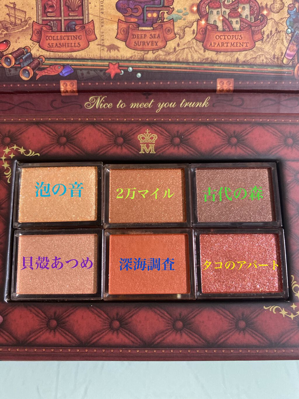 ナイストゥミーチュートランク テラコッタベージュ 暖流の底/MAJOLICA MAJORCA/アイシャドウパレットを使ったクチコミ（2枚目）