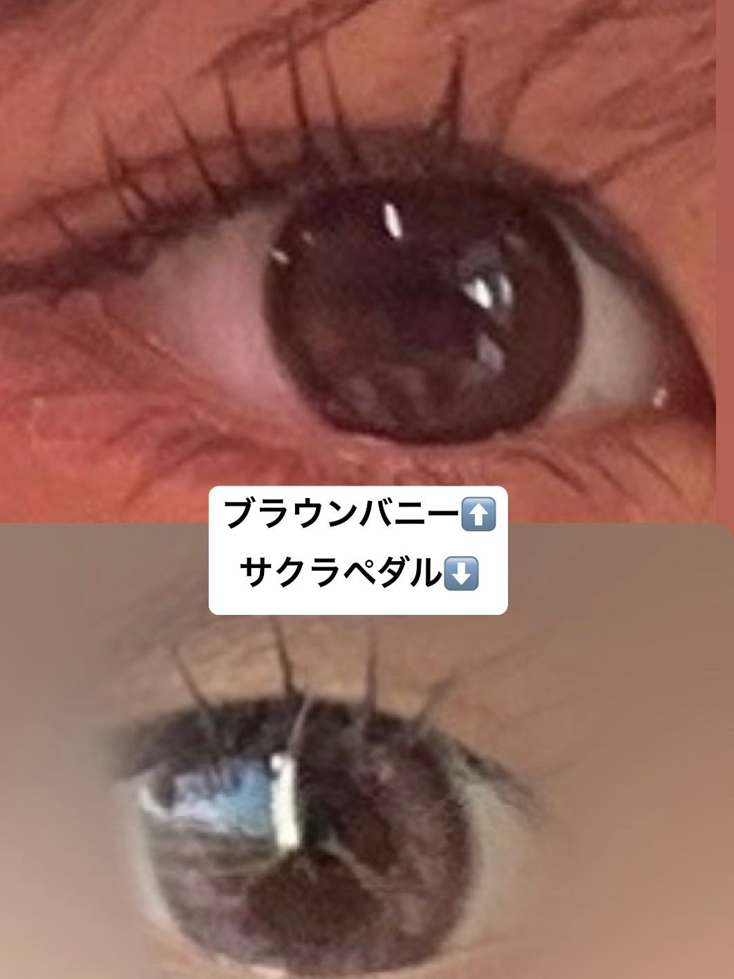 MOLAK 1day/MOLAK/ワンデー(1DAY)カラコンを使ったクチコミ(3枚目)