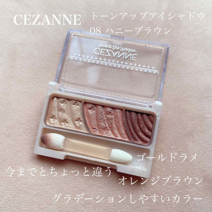 トーンアップアイシャドウ/CEZANNE/アイシャドウパレットを使ったクチコミ(1枚目)