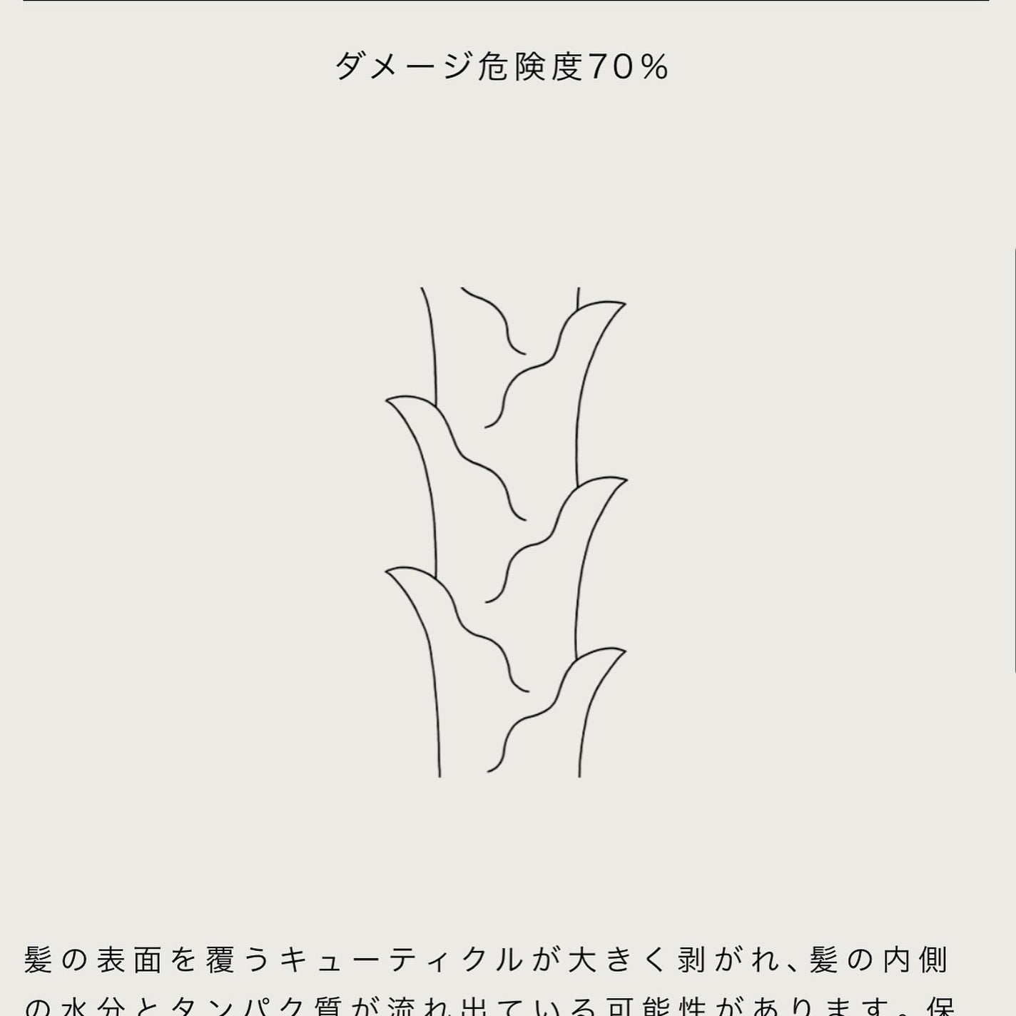 モイストソフナー 02オイリースカルプ/Sorule/市販シャンプーを使ったクチコミ(3枚目)
