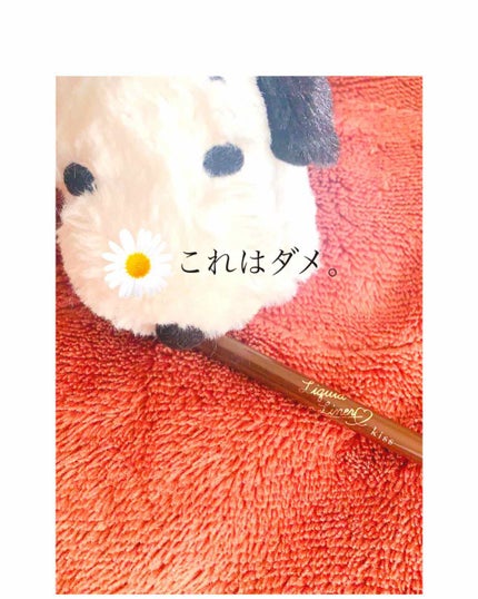 リキッドシャープライナー/リキッドシャープライナーX/KiSS/リキッドアイライナーを使ったクチコミ(1枚目)