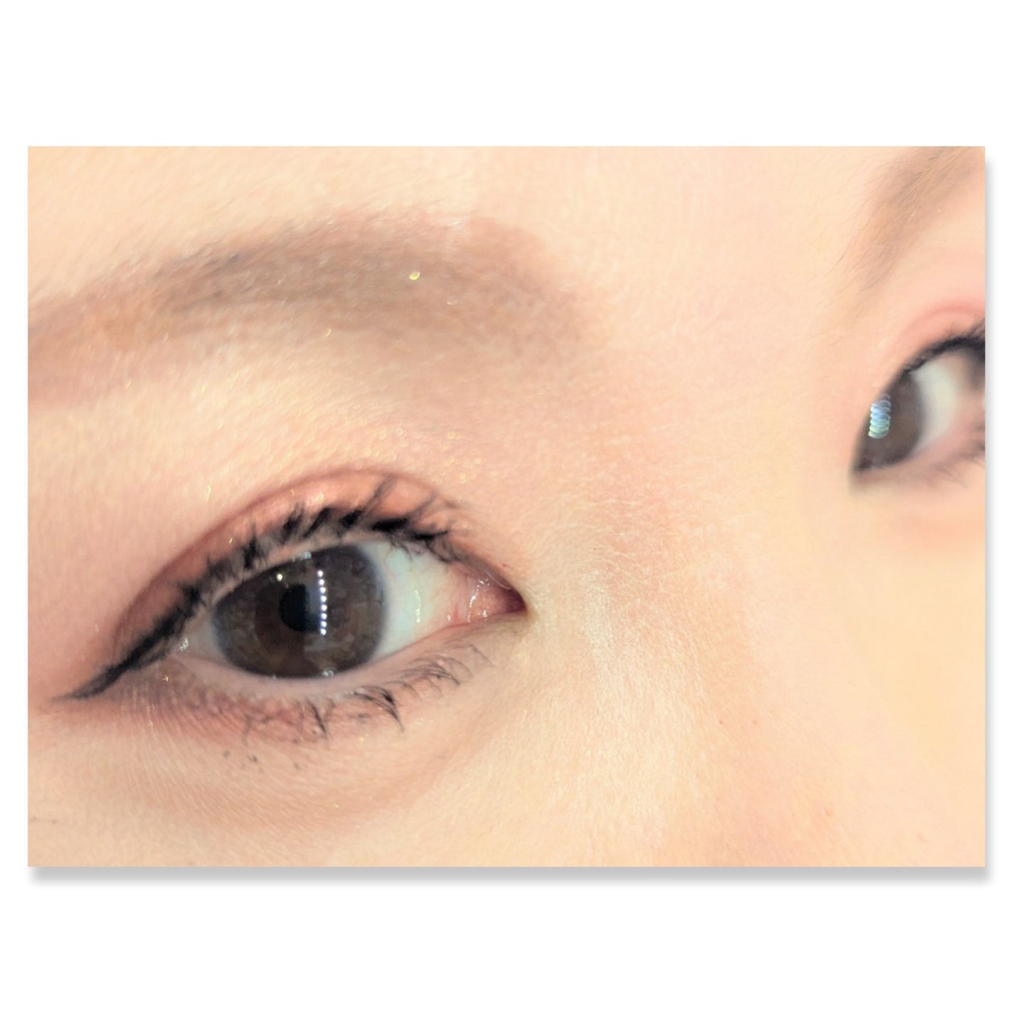 アイカラーパレット/heme/アイシャドウパレットを使ったクチコミ(2枚目)