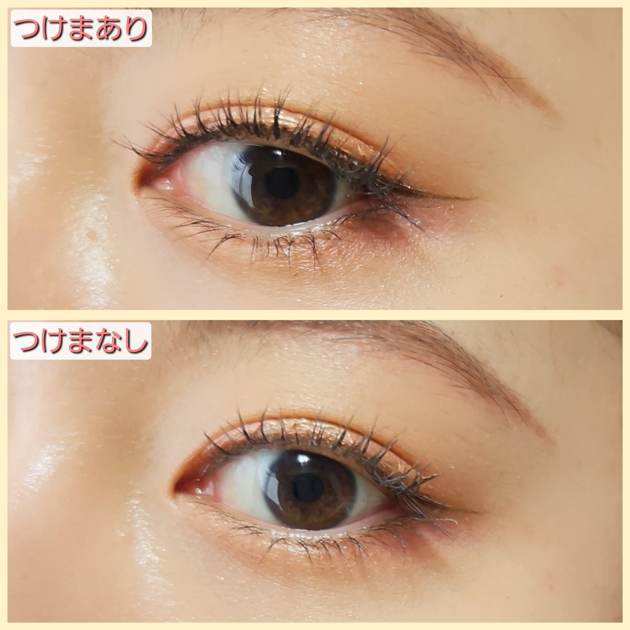 エアリーカールラッシュ 01 NATURAL/D-UP/つけまつげを使ったクチコミ（3枚目）