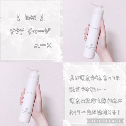 ines アクア チャージ ムースのクチコミ「⸜  美は頭皮から.ᐟ ⸝  地肌の美容液🐰🤍
今年も乾燥する季節が来た・・・
そんな.....」(3枚目)