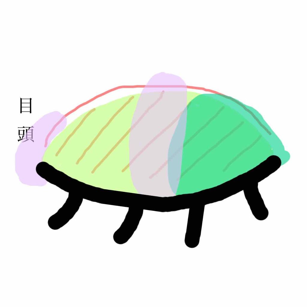 モテライナー リキッド/UZU BY FLOWFUSHI/リキッドアイライナーを使ったクチコミ（3枚目）