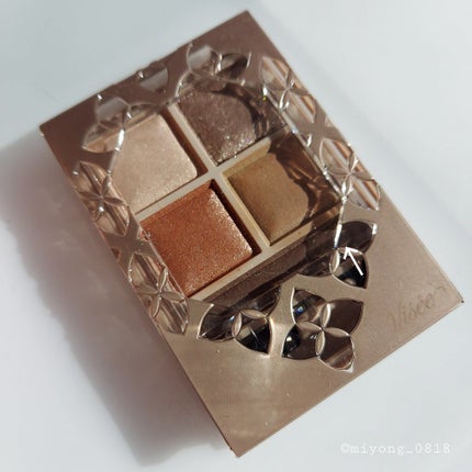 パノラマデザイン アイパレット/Visée/アイシャドウパレットを使ったクチコミ(9枚目)