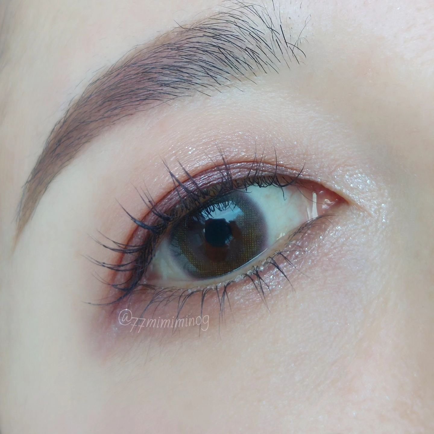 新品未使用　アディクション　ホリデー アディクション　サイレント ウィッシュ Ⅰ 4971710568745-05.jpg