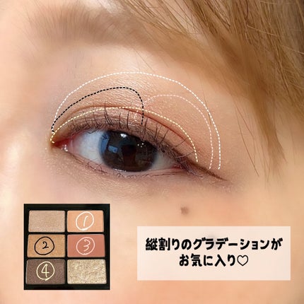 クロマティックス ウキバナジンジャー/shu uemura/アイシャドウパレットを使ったクチコミ(5枚目)