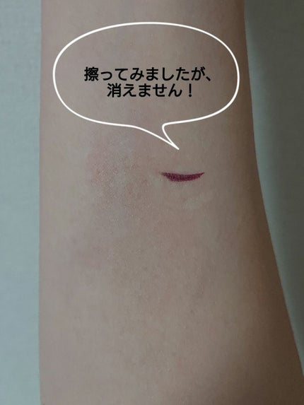 「密着アイライナー」ショート筆リキッド/デジャヴュ/リキッドアイライナーを使ったクチコミ(3枚目)