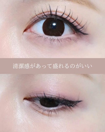 ベターミーアイパレット/2aN/マルチパレットを使ったクチコミ(9枚目)