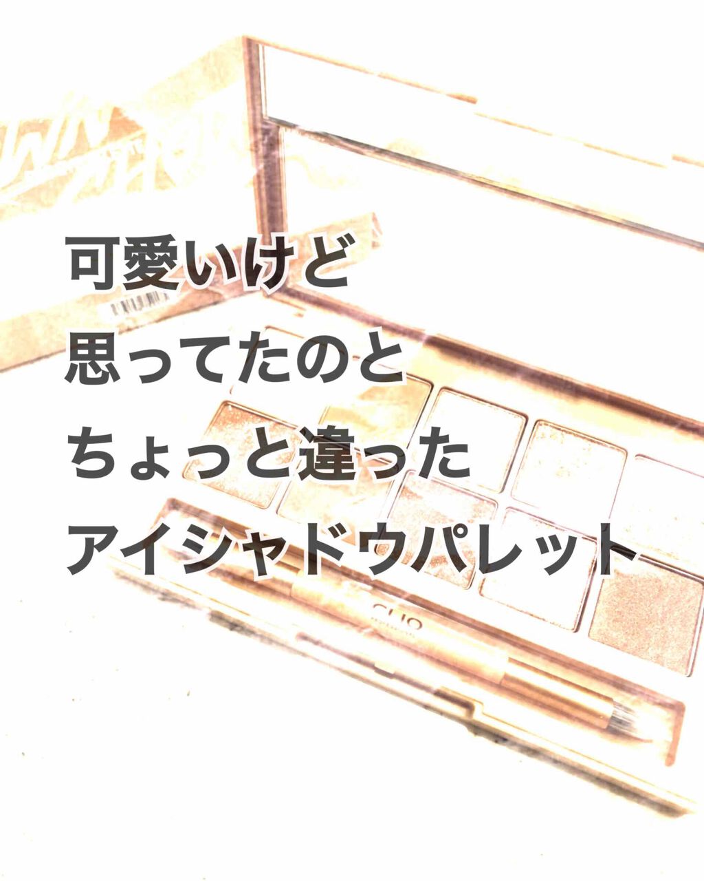 プロ アイ パレット/CLIO/アイシャドウパレットを使ったクチコミ（1枚目）