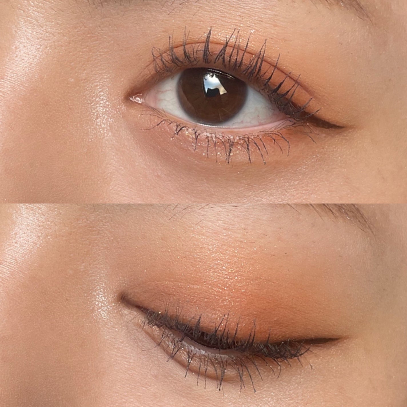 アニマルアイシャドウ(4シェード)/ZEESEA/アイシャドウパレットを使ったクチコミ(6枚目)