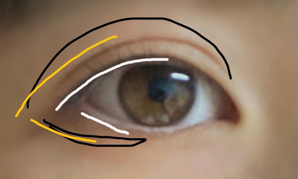 パーフェクトマルチアイズ/キャンメイク/アイシャドウパレットを使ったクチコミ(3枚目)