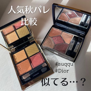 【旧】サンク クルール クチュール/Dior/アイシャドウパレットを使ったクチコミ（1枚目）