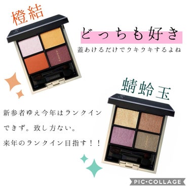 デザイニング カラー アイズ(公式ONLINE限定)/SUQQU/アイシャドウパレットを使ったクチコミ（3枚目）