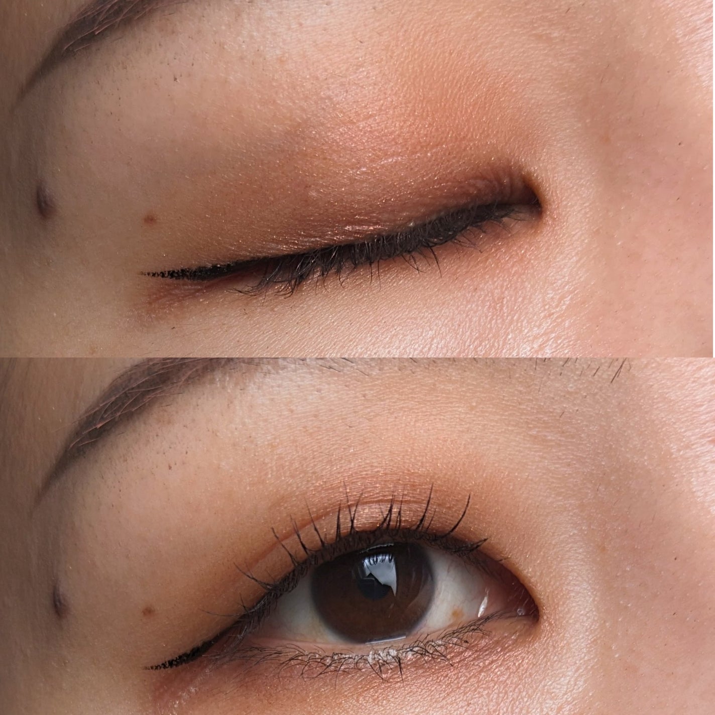 アイプランナー/excel/単色アイシャドウを使ったクチコミ(3枚目)