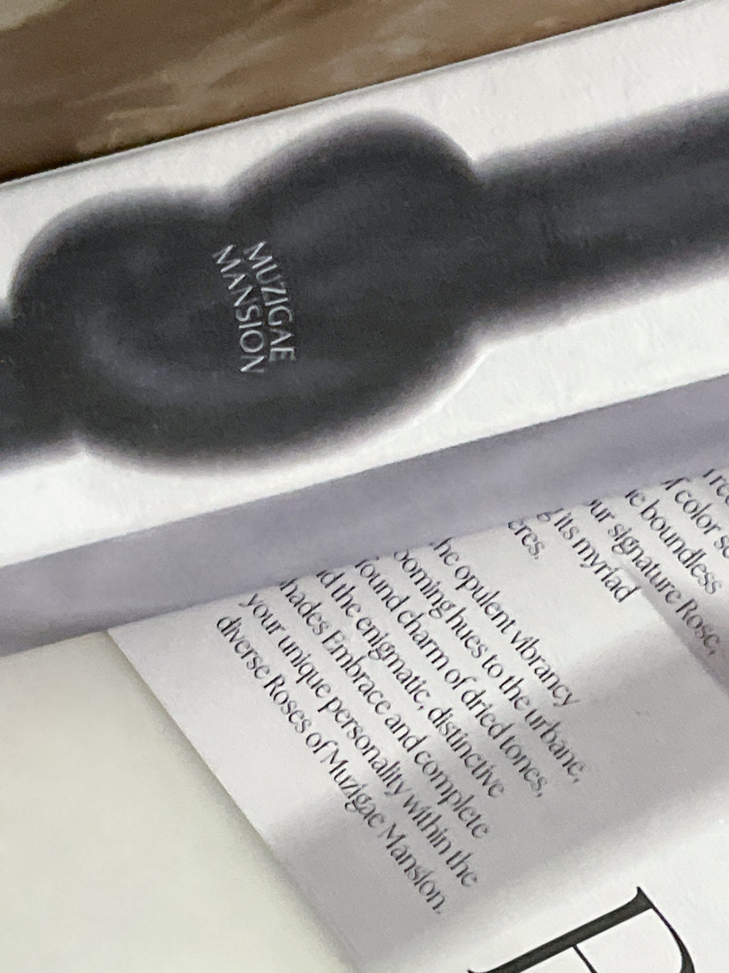 タイアップカバーティント/MUZIGAE MANSION/リップティントを使ったクチコミ(4枚目)