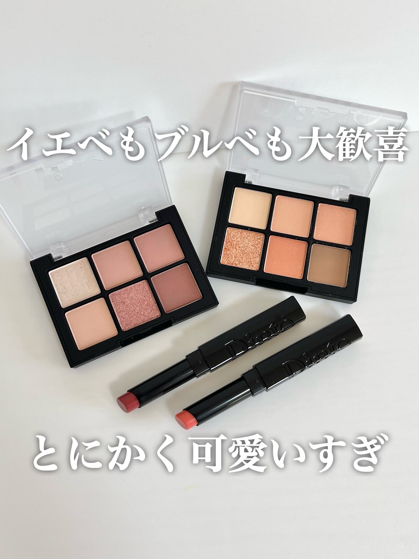 ブラーフィニシュシャドウパレット/Dinto/アイシャドウパレットを使ったクチコミ(1枚目)