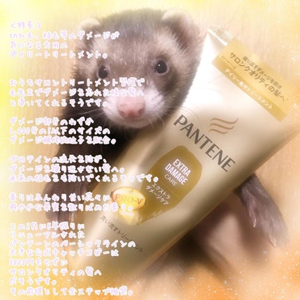 エクストラダメージケア 洗い流すトリートメント /パンテーン/洗い流すヘアトリートメントを使ったクチコミ(2枚目)