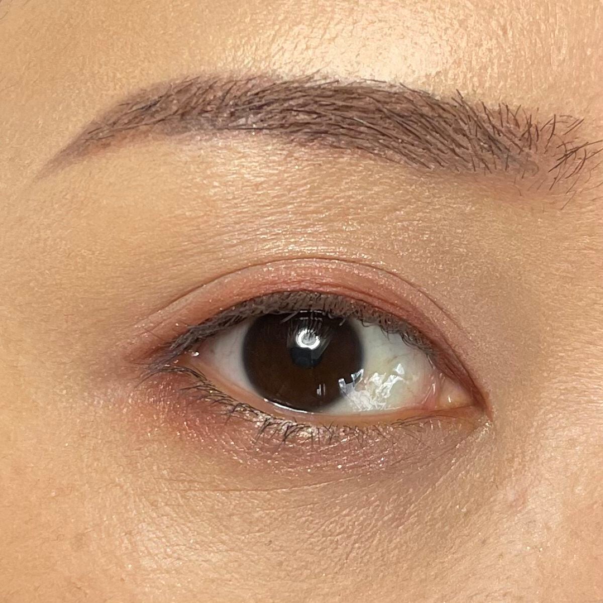 シルキースフレアイズ/キャンメイク/アイシャドウパレットを使ったクチコミ(8枚目)