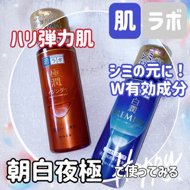 白潤プレミアム薬用浸透美白化粧水/肌ラボ/化粧水を使ったクチコミ（1枚目）