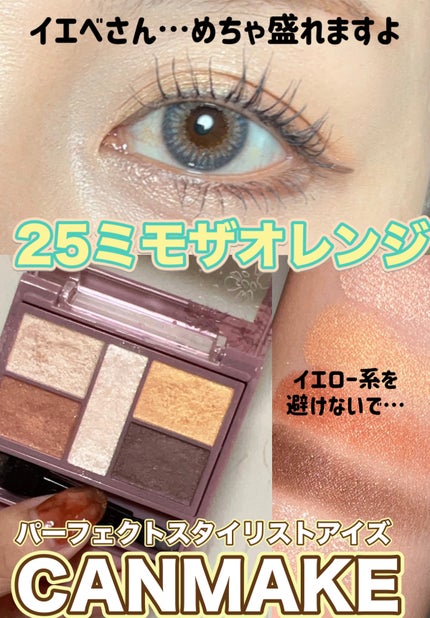 パーフェクトスタイリストアイズ 25 ミモザオレンジ/キャンメイク/アイシャドウパレットを使ったクチコミ(1枚目)