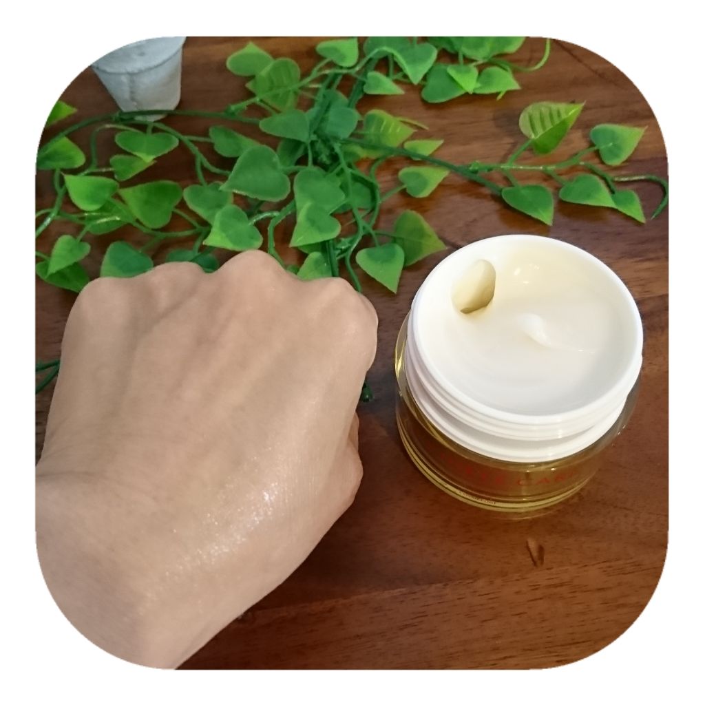 リンクルケア モイストジェルクリーム/グレイスワン/オールインワン化粧品を使ったクチコミ（3枚目）