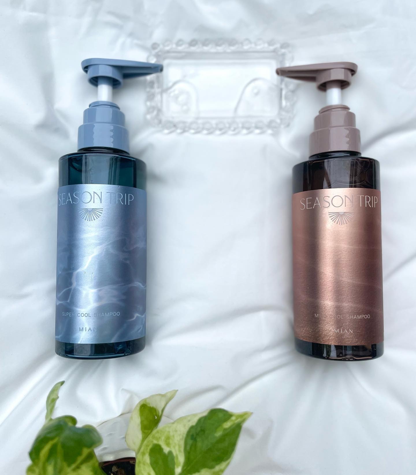 シーズントリップ スキャルプポッピングスプレー/ミアンビューティー/頭皮ローションを使ったクチコミ（2枚目）