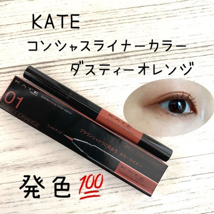 コンシャスライナーカラー/KATE/リキッドアイライナーを使ったクチコミ(1枚目)
