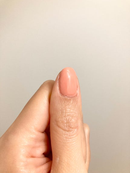 パル カラージェル コーラルピンク/キャンドゥ/ジェルネイルの画像