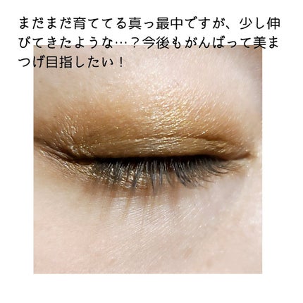 ラッシュプログラム /ISEHAN Lab./まつげ美容液を使ったクチコミ(4枚目)