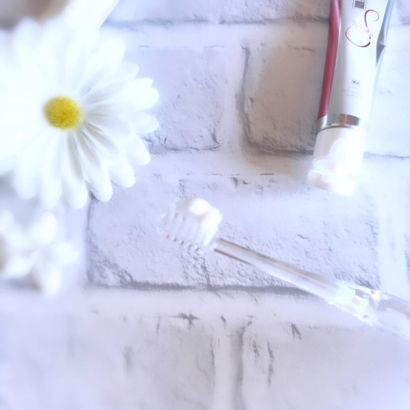 アパガードクリスタル歯ブラシ/アパガード/歯ブラシを使ったクチコミ(3枚目)