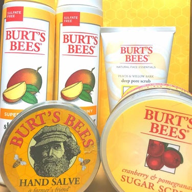 ティンテッド リップバーム/BURT'S BEES/リップケア・リップクリームを使ったクチコミ（1枚目）