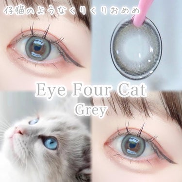 Eye Four Cat/LENSME/カラーコンタクトレンズを使ったクチコミ（5枚目）