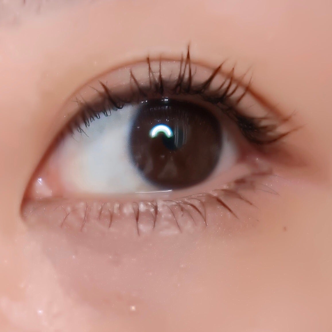 ラッシュニスタ N/MAYBELLINE NEW YORK/マスカラを使ったクチコミ(4枚目)