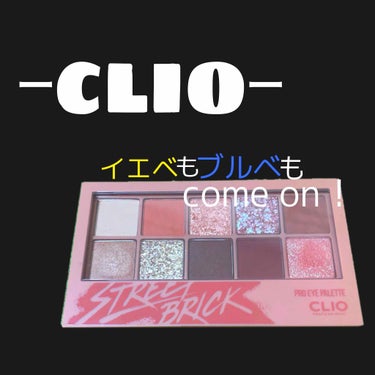 プロ アイ パレット/CLIO/アイシャドウパレットを使ったクチコミ（1枚目）